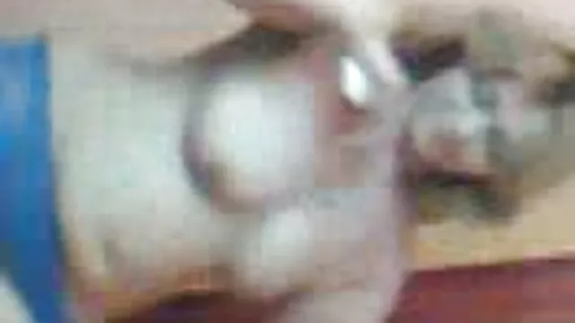 कोई पंजीकरण Porno  प्यारा गोरा बेब उसकी बिल्ली के साथ खेलता बीएफ सेक्सी फुल मूवी है