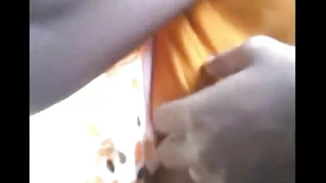 कोई पंजीकरण Porno  कॉलेज किशोर पहली बार गुदा बड़ा मुर्गा शौकिया बीएफ वीडियो फुल मूवी सेक्सी चीख