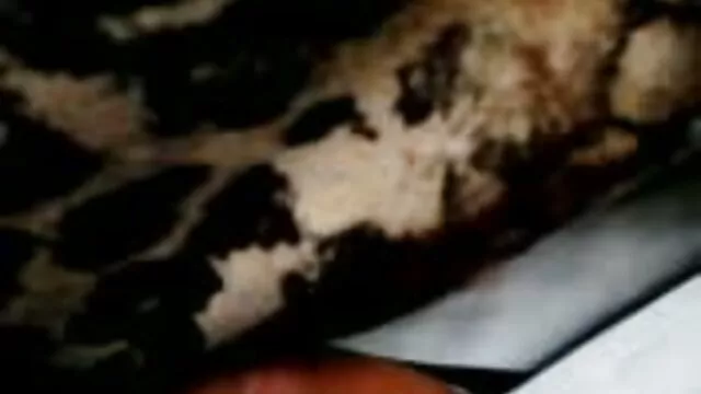 कोई पंजीकरण Porno  बिजौ माया अपनी पट्टी और सार्वजनिक रूप से चुदाई देख रहे लोगों के पास जाती है सेक्सी मूवी बीएफ वीडियो