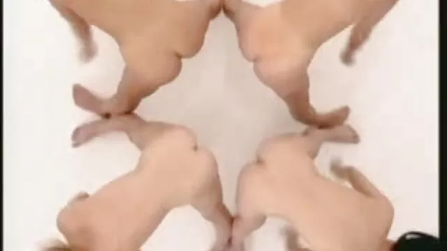 कोई पंजीकरण Porno  गुदा सेक्सी मूवी बीएफ फिल्म बनाता है होली वेलीन और टोरी लेन मोआन