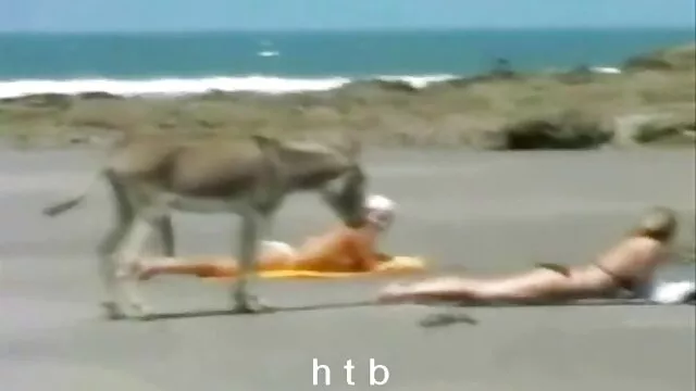कोई पंजीकरण Porno  Jayden Jaymes कार्यालय में हिंदी मूवी फुल एचडी बीएफ शरारती है