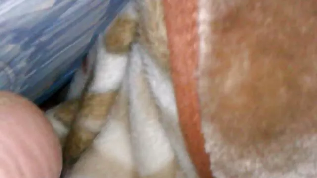 कोई पंजीकरण Porno  निकोल एक काले मुर्गा बीएफ सेक्सी एचडी मूवी के साथ साझा करती है